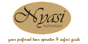 Nyasi Adventure logo