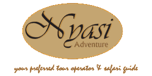 Nyasi Adventure Logo