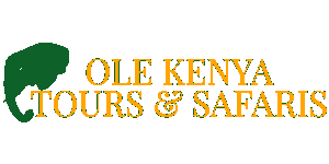 Ole Tours & Safaris Kenya