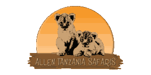 Allen Tanzania Safaris