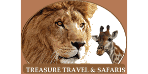 Treasure Travels and Safaris