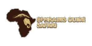 Ephraim’s Guide Safari 