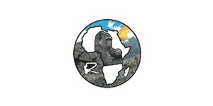 Rayz Afrika Tours and Travel