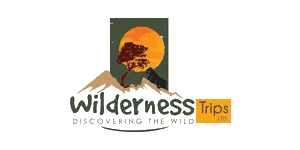Wilderness Trips  Logo