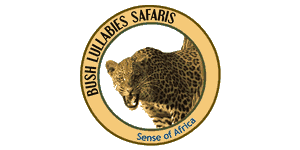 Bush Lullabies Safaris Logo
