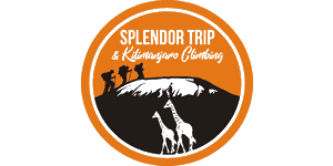 Splendor Trip & Kilimanjaro Climbing
