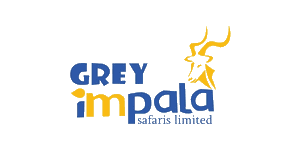 Grey Impala Safaris