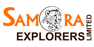 Samora Explorers  Logo