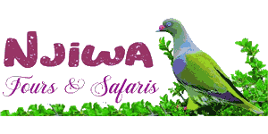 Njiwa Tours & Safaris Njiwa Tours & Safaris