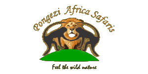 Pongezi Africa Safaris Limited