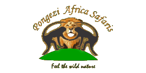 Pongezi Africa Safaris 