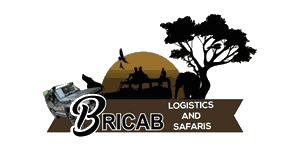 Bricab Logistics & Safaris