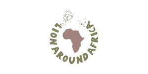 Lion Around Africa Lion Around Africa