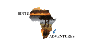 Bintu Africa Adventures