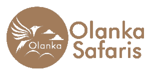 Olanka Safaris