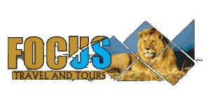 Focus Travel & Tours Logo
