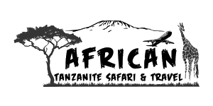 African Tanzanite Safari Logo