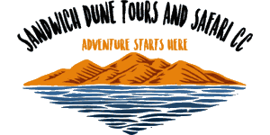 Sandwich Dune Tours and Safari Logo