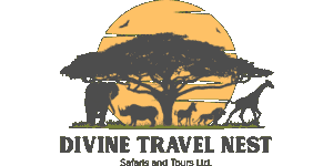 Divine Travel Nest Safaris and Tours Logo