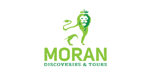 Moran Discoveries & Tours Logo