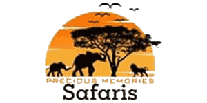 Precious Memories Safaris Logo