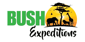 Bush Expeditions Logo
