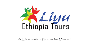 Liyu Ethiopia Tour and Travel Logo