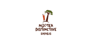 Ngotea Distinctive Safaris