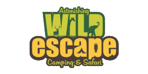 Astonishing Wild Escape Camping Logo