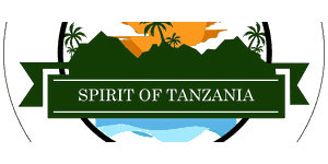 Spirit Of Tanzania Safaris Logo