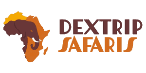 Dextrip Safaris