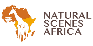 Natural Scenes Africa Logo