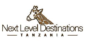 Next Level Destinations Logo