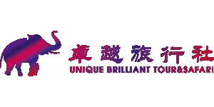 Unique Brilliant Safari Logo