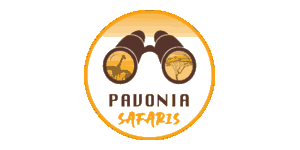 Pavonia Safaris Logo