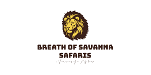 Breath of Savanna Safaris and Events Logo
