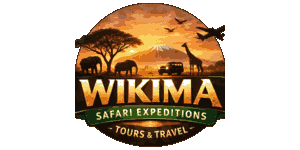 Wikima Safari Expeditions Logo