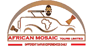 African Mosaic Tours  logo
