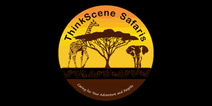ThinkScene Safaris Logo