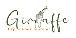 Giraffe Expeditions Tanzania 
