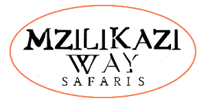 Mzilikazi Way Safaris