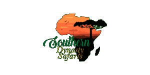 Southern Dynasty Safaris logo