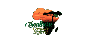 Southern Dynasty Safaris