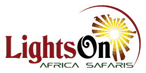 Lights on Africa Destinations & Safaris