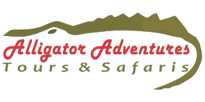 Alligator Adventures Tours & Safaris logo