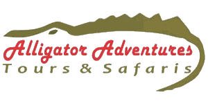 Alligator Adventures Tours & Safaris Logo