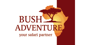 Bush Adventure Logo