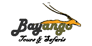 Bayango Tours & Safaris