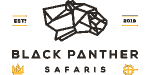 Black Panther Safaris