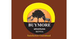 BuyMore Adventures Logo
